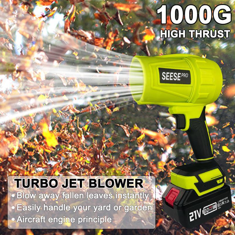 Upgrade the POWER to Seese Pro 1000G+