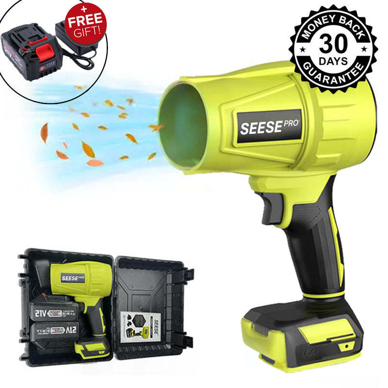 Upgrade the POWER to Seese Pro 1000G+